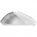 Мишка A4Tech FB45CS Air2 Bluetooth/Wireless Silver/White (4711421999373)