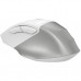 Мишка A4Tech FB45CS Air2 Bluetooth/Wireless Silver/White (4711421999373)