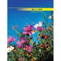 Канцелярська книга А4, 96с, NATURE Buromax (BM.2400)