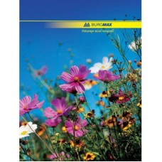 Канцелярська книга А4, 96с, NATURE Buromax (BM.2400)