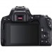 Цифровой фотоаппарат Canon EOS 250D kit 18-55 IS STM Black (3454C007)