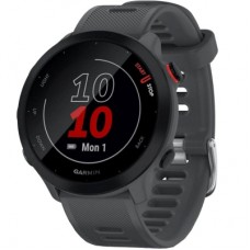 Смарт-годинник Garmin Forerunner 55, Monterra Grey (010-02562-13)