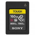 Карта памяти Sony 160GB Type A CEA-G (CEAG160T.SYM)